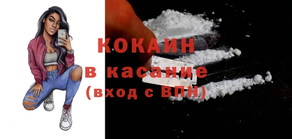 твердый Кулебаки