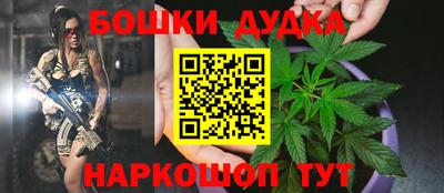 ГАЛЛЮЦИНОГЕННЫЕ ГРИБЫ Беслан