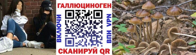omg зеркало  Мариинск  Галлюциногенные грибы GOLDEN TEACHER  наркошоп 
