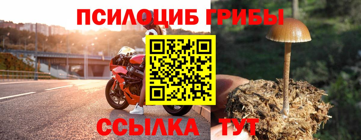Псилоцибиновые грибы прущие грибы Мариинск